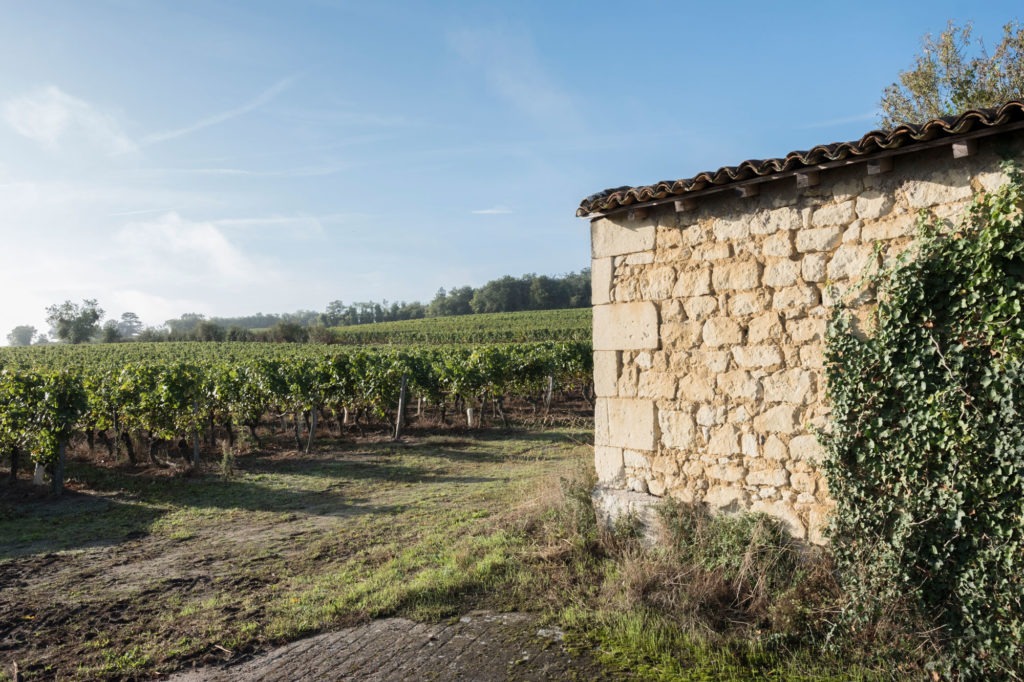 Élaboration vins Terroir Saumur