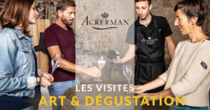 Visite exclusive