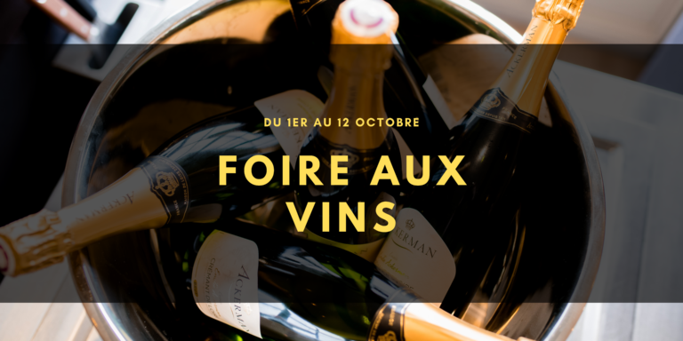 Bannière Foire aux vins Saumur
