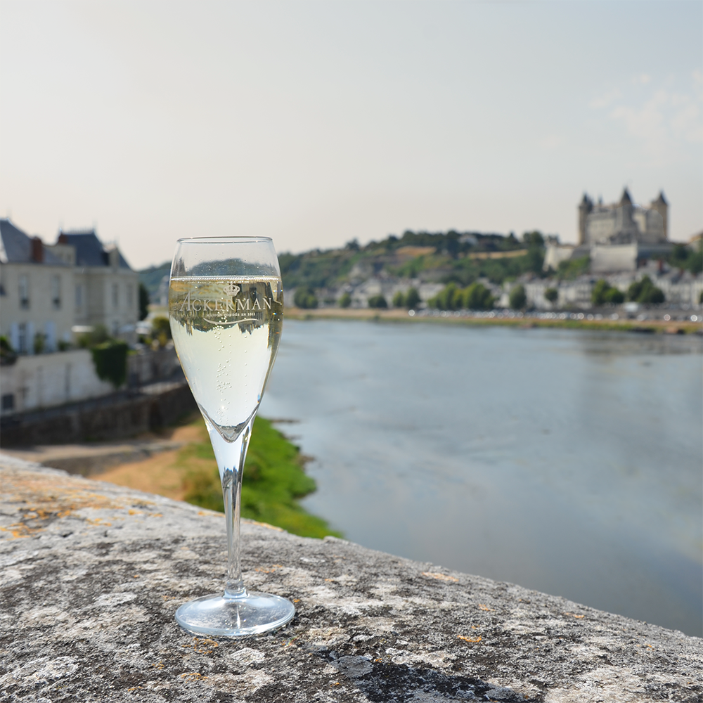 Château de Saumur