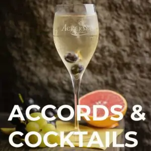 ACCORDS VINS ET COCKTAILS ACKERMAN