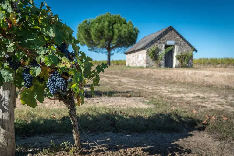 Château La Varière