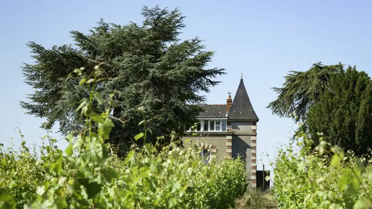 Domaine des Hardières